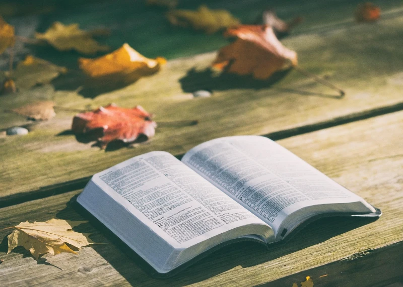 Imagen biblia