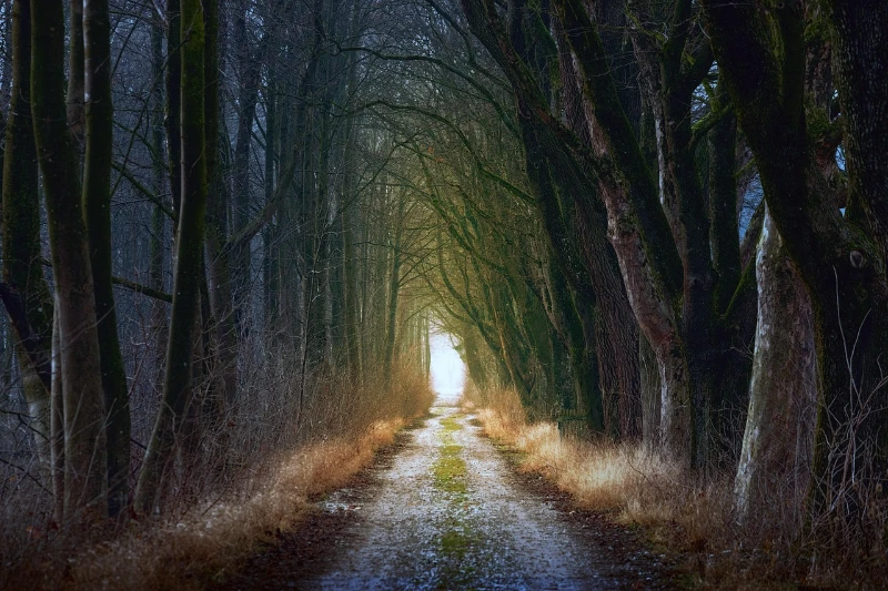 Imagen camino