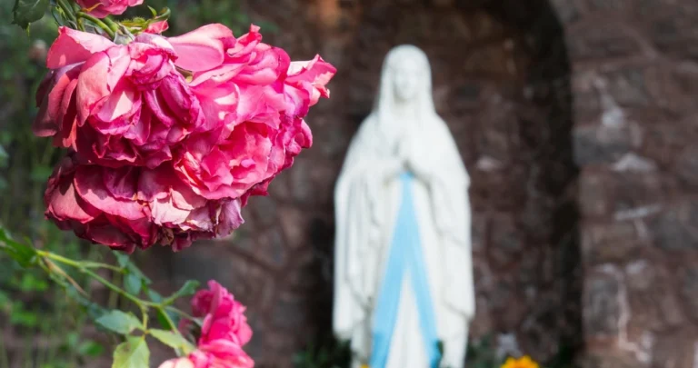 María, Madre de Dios (A)